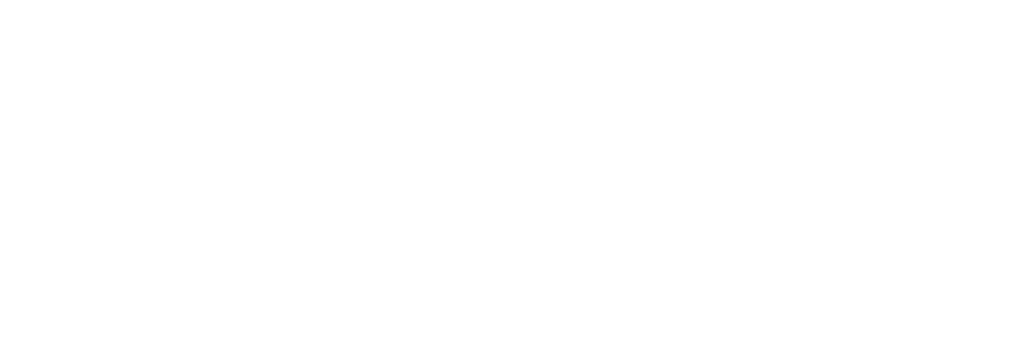 Logo MEDigIT BLANC Registration