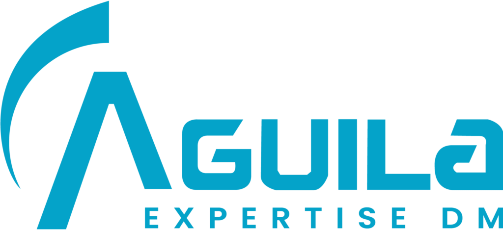 logo aguila 2024 - edition